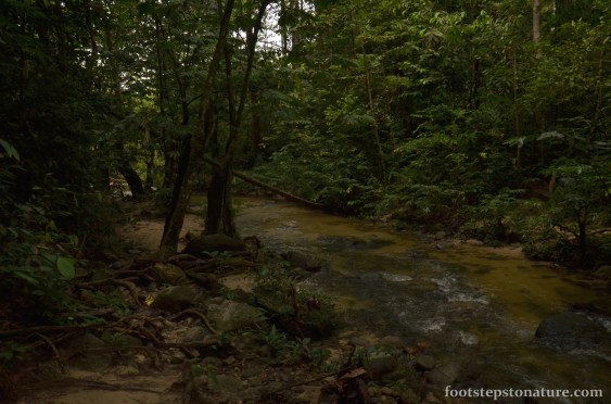 It’s a totally different setting right after the tunnel, sound from cars on the highway fade and the sound of nature comes alive.