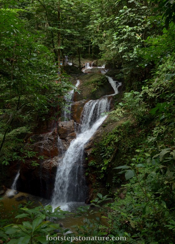 Higher view of Sg Pisang waterfall. Can you spot a person wearing white shirt?