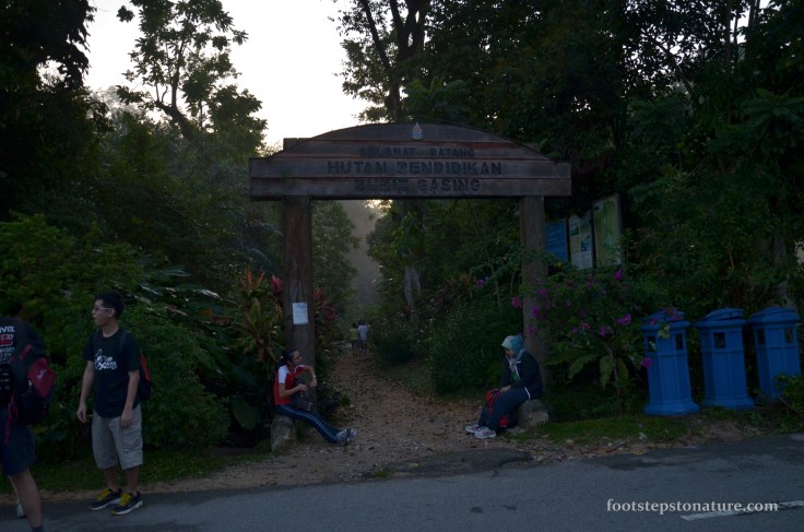Plenty of friendly faces and people of all age groups come to Bukit Gasing for some exercise