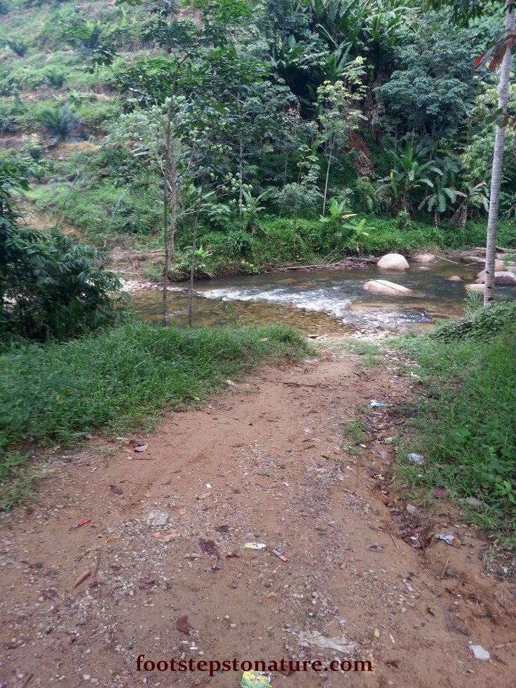 Make your way down to cross the stream at the parking spot