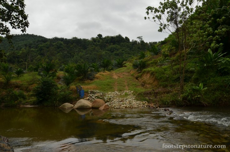 I believe the water level could be lower during the drier seasons