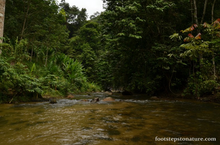 The final march towards Gapoi Waterfall
