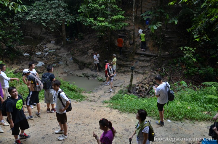 Level 1 – The Bridge