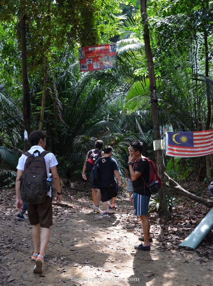 Take this exit to the waterfall. After a short walk you’ll pass through level 5, keep heading straight