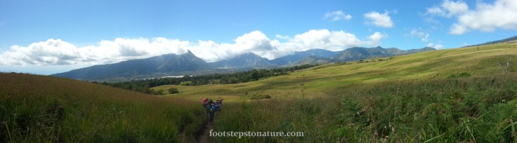 10.30am – The first section is mainly a stroll through grasslands with a short stretch of foliage cover. Beware of cow dung, they’re everywhere!