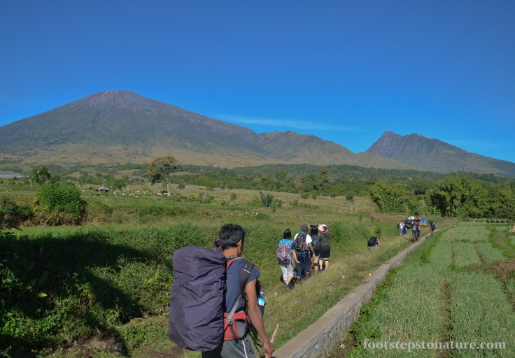Day 1, 9.00am – The journey begins with a picturesque view of paddy fields against the prominent Mt Rinjani